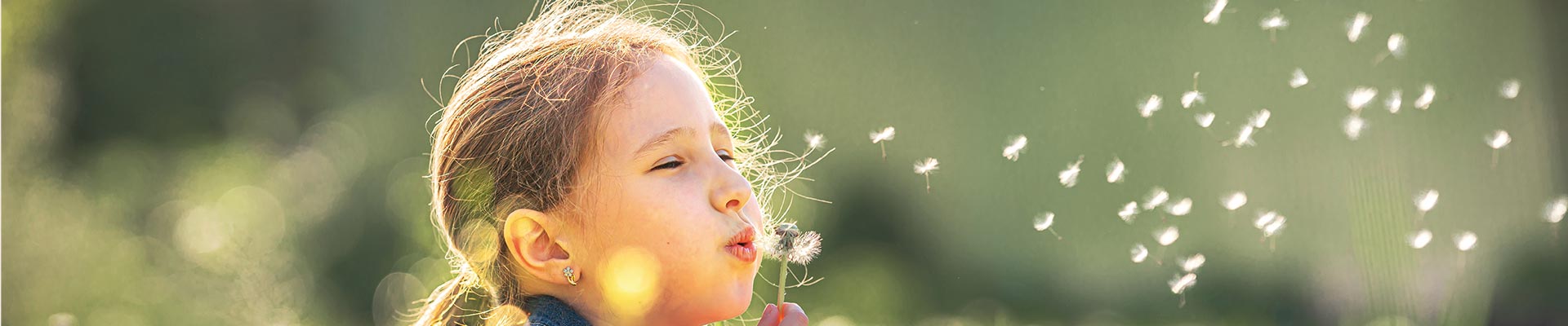 Fliegengitter-direkt Insektenschutz Pollenschutzgitter Polltec