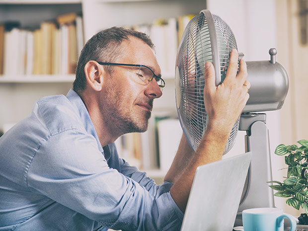 Fliegengitter-direkt Insektenschutz Gewebe Sonnenschutz