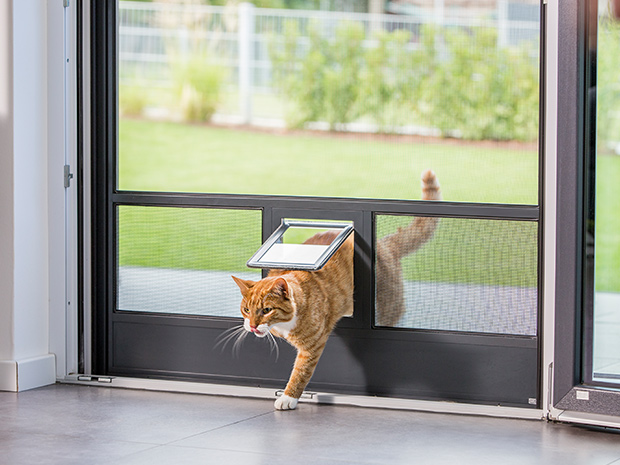 Fliegengitter-direkt Insektenschutz Fenster Neher